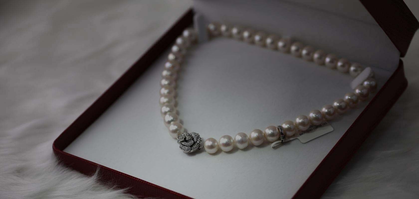 Our Luxury Collections